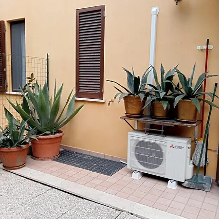 Guest house Affitta , La Viola *